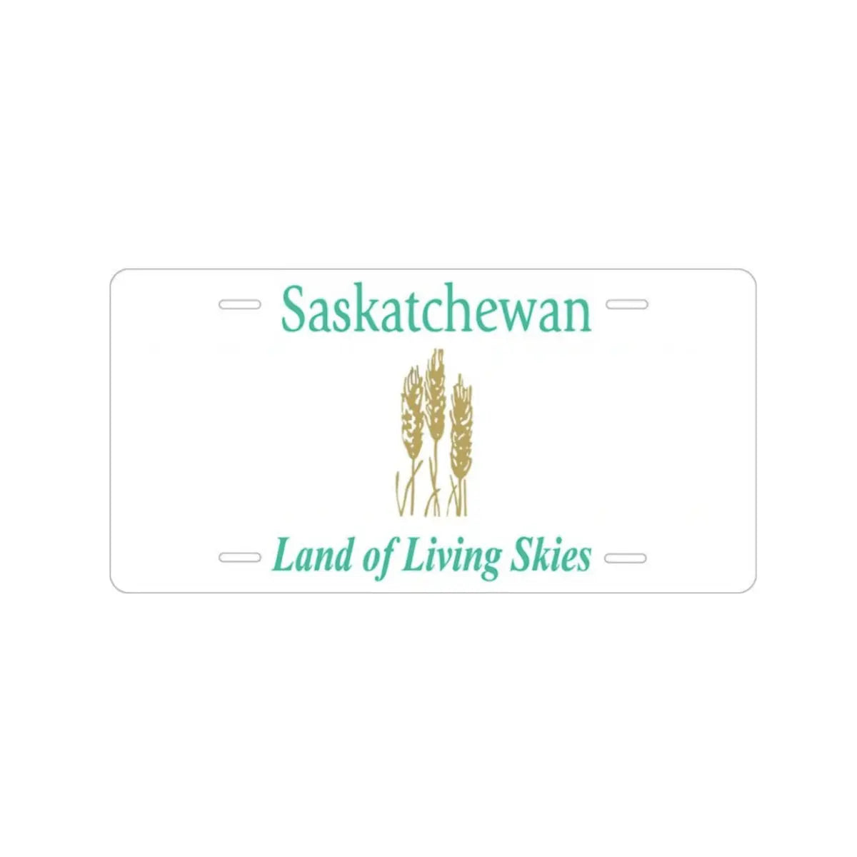 Custom Kids’ Ride-On Car License Plate DTI Direct Canada