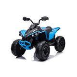 Can Am Renegade Spare Parts