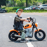 36V Freddo E-Chopper, Leather Seat, Rubber Air Wheels, Brushless Motor  Freddo Toys