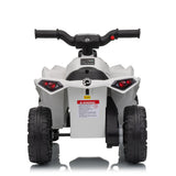 6V Can-Am Renegade Kids Ride-On ATV