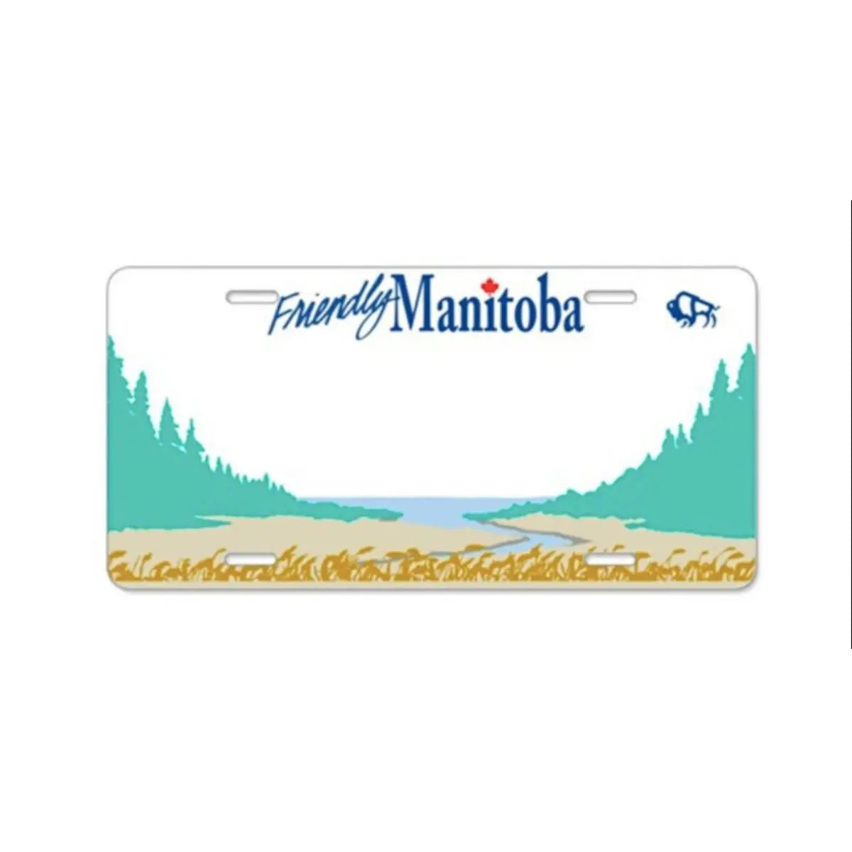 Custom Kids’ Ride-On Car License Plate | Freddo Toys Canada